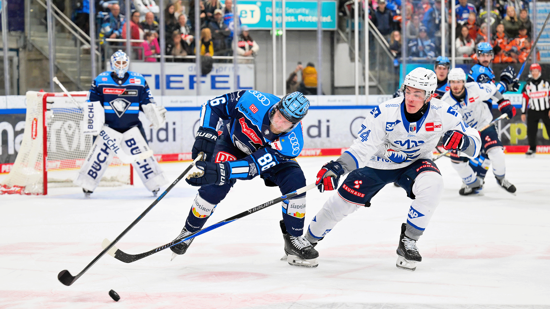 ERC Ingolstadt gg. Adler Mannheim